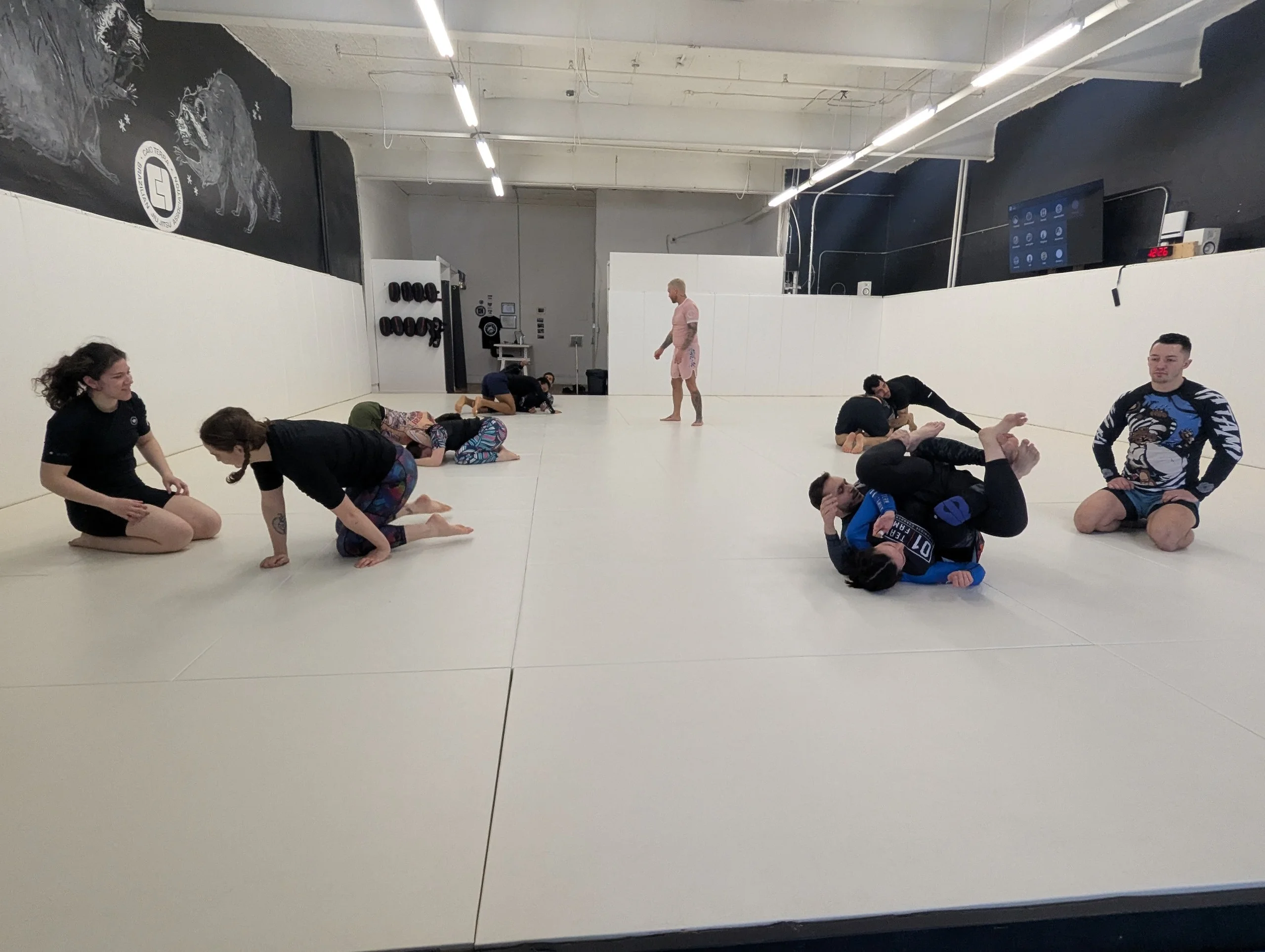Brazilian jiu-jitsu class at Plateau BJJ with multiple pairs rolling.